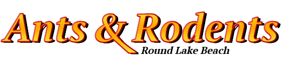 Round Lake Beach Ant Exterminator & Rodent Control Company Logo